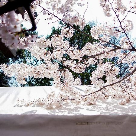 Tora Hotel Tokyo-Kitaueno 寅ホテル北上野 Ngoại thất bức ảnh