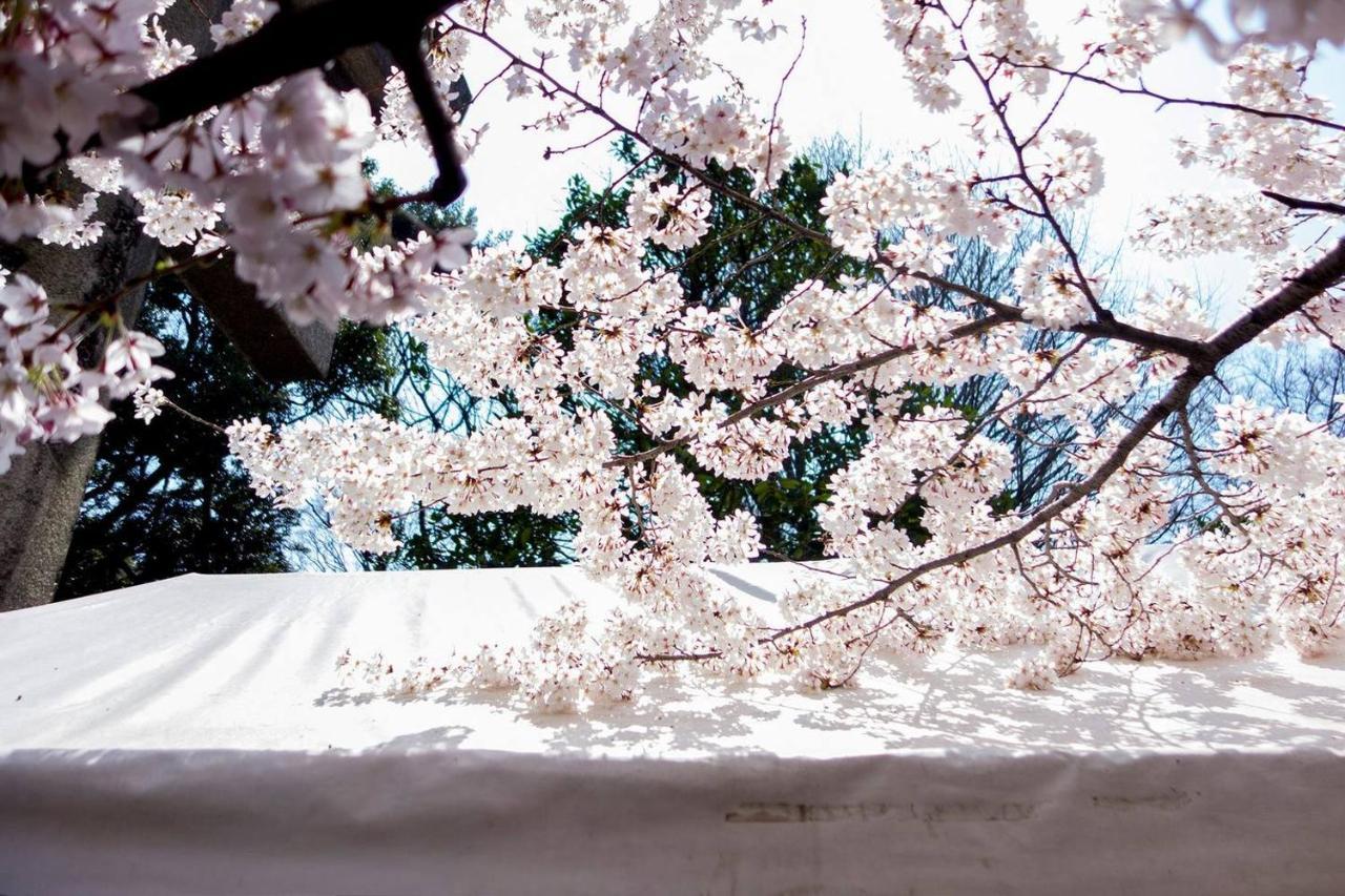 Tora Hotel Tokyo-Kitaueno 寅ホテル北上野 Ngoại thất bức ảnh